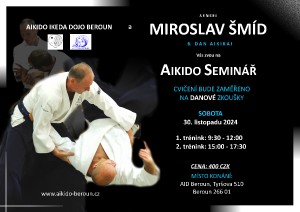 aikido-seminar---beroun-2024.jpeg